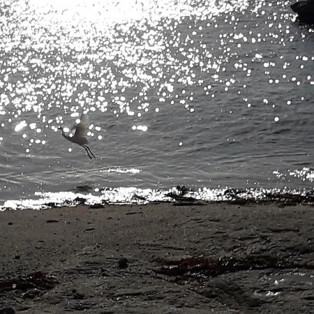 Appartement Proche De La Mer Guilvinec Dış mekan fotoğraf