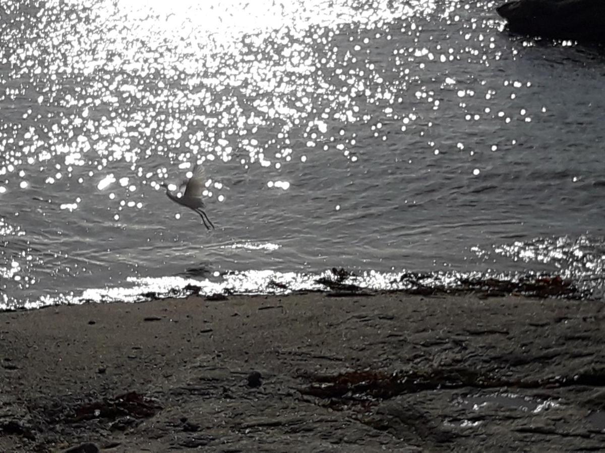 Appartement Proche De La Mer Guilvinec Dış mekan fotoğraf